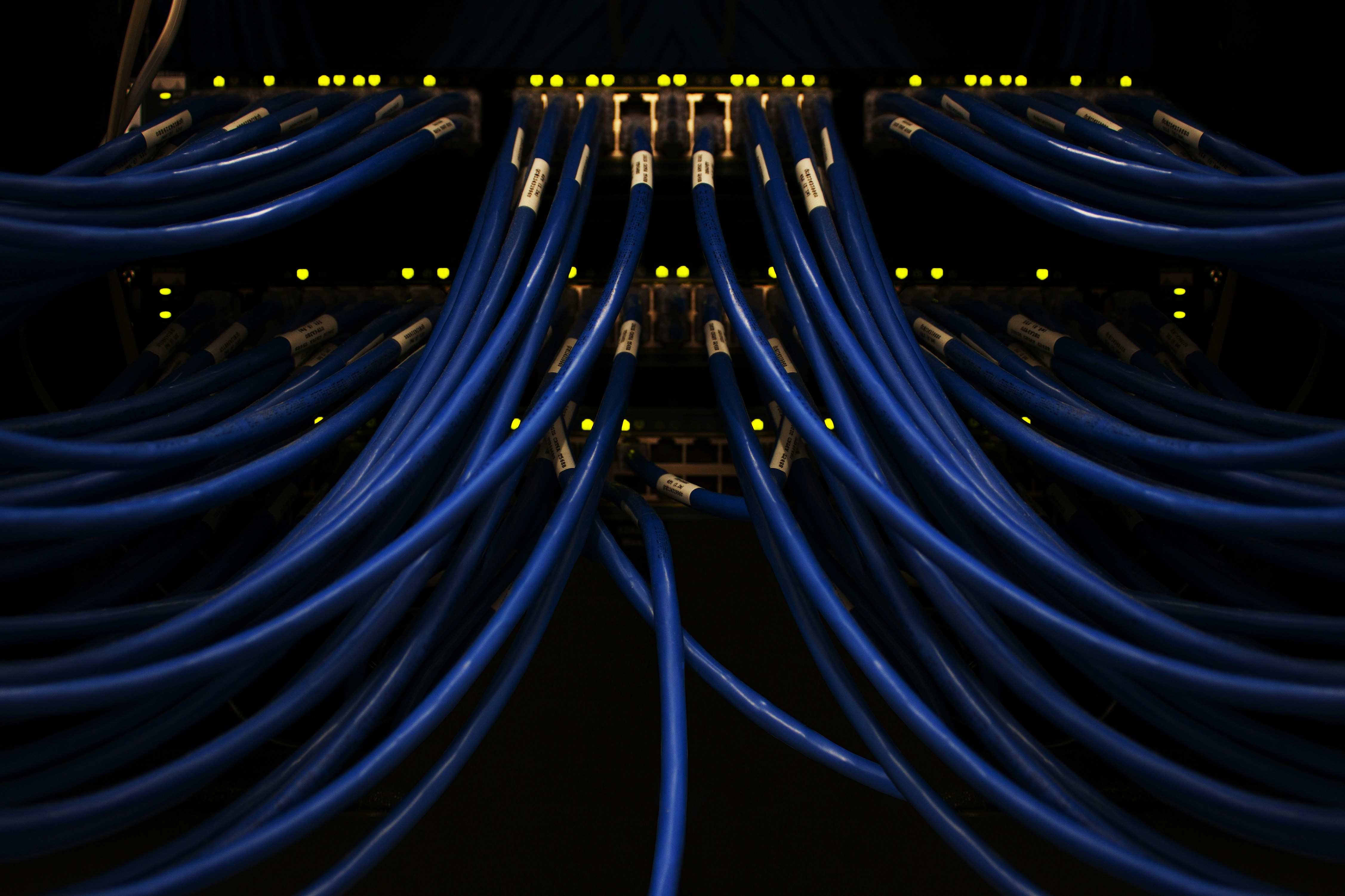 Network cables connected to a server rack