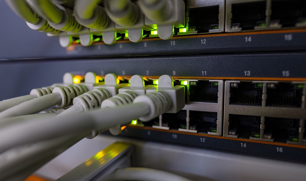 Server and network cables